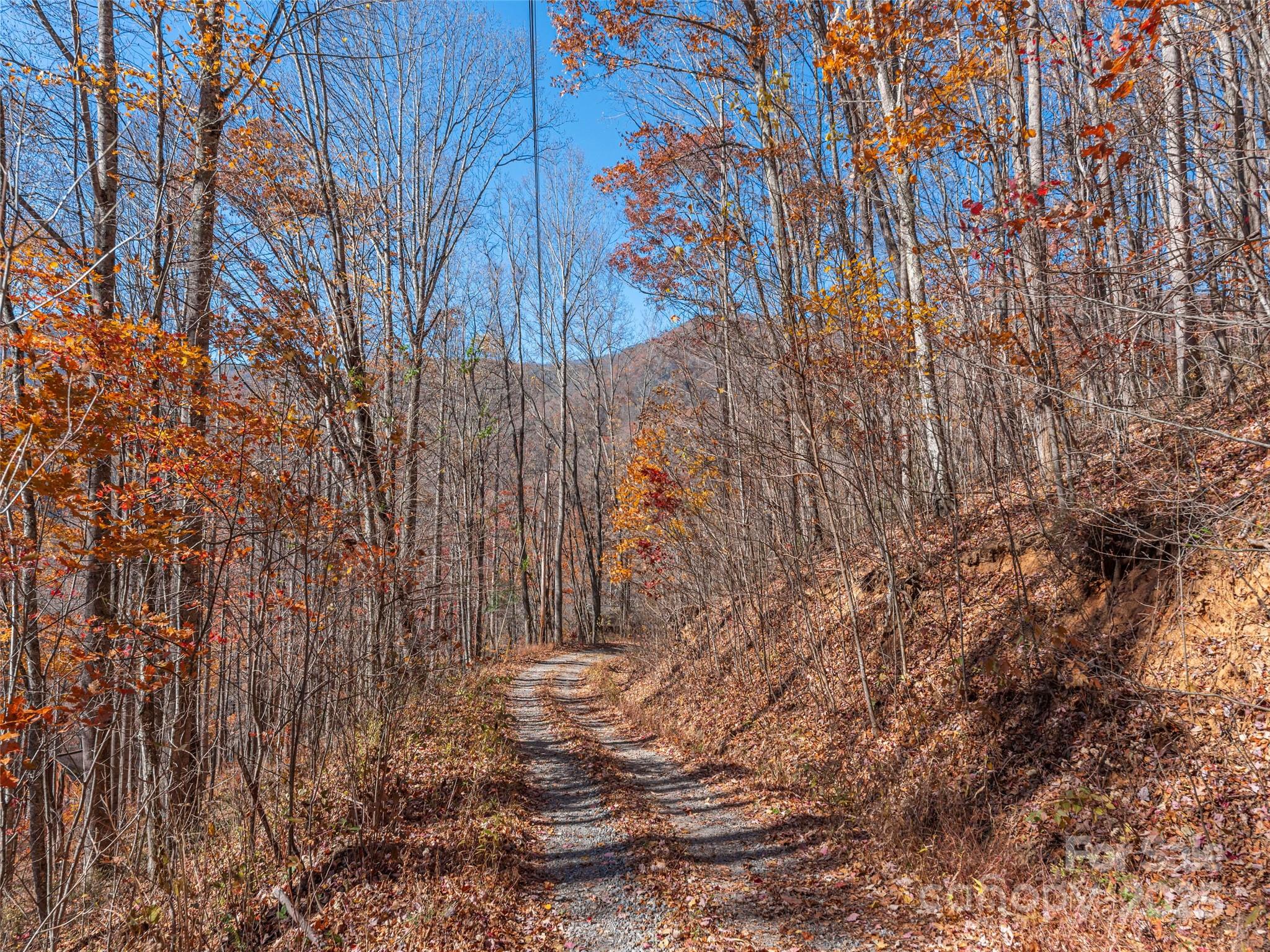 112-113 Grouse Road Clyde, NC 28721 - Photo 3 of 29 a view of garden