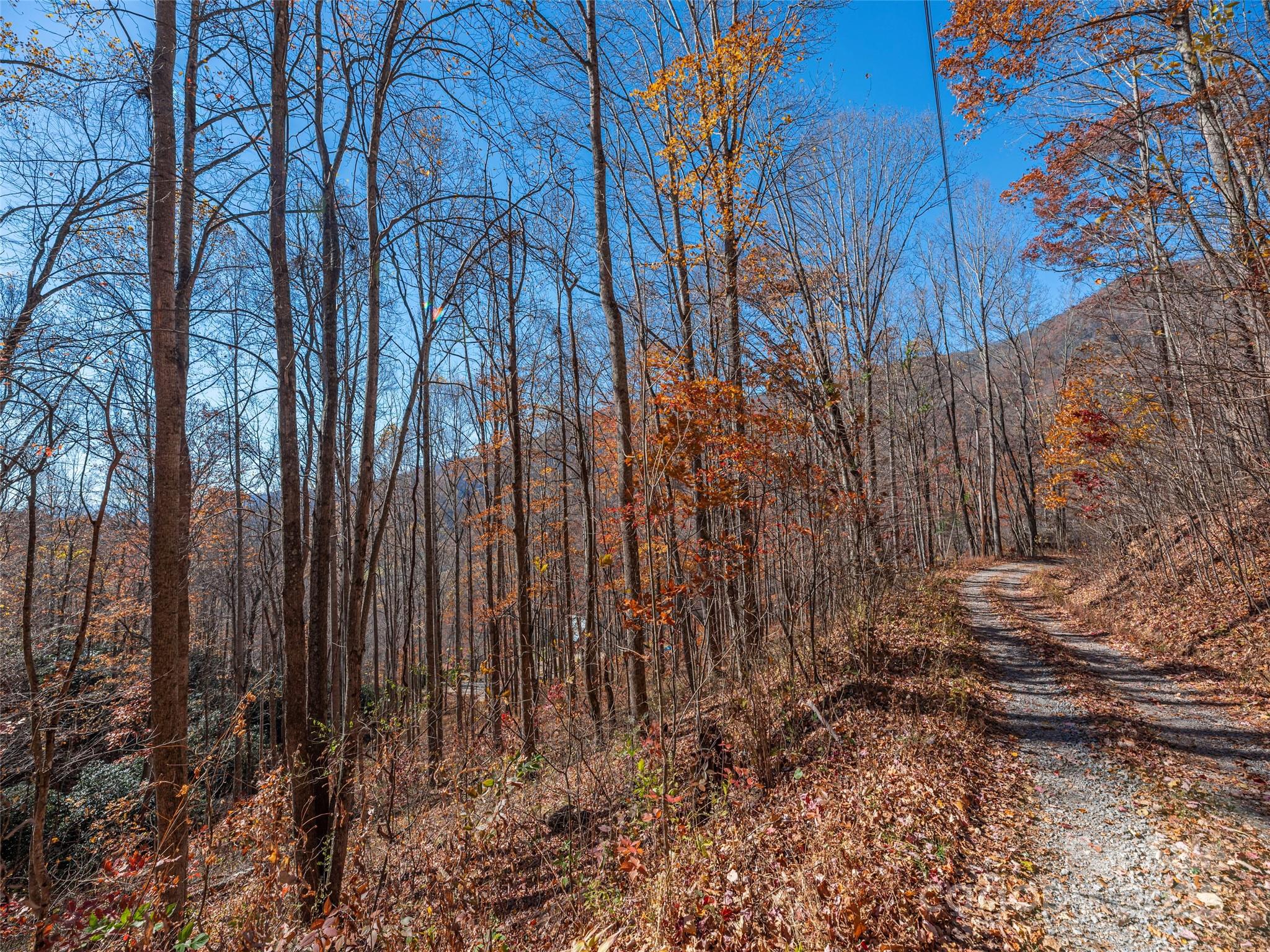 112-113 Grouse Road Clyde, NC 28721 - Photo 4 of 29 a view of backyard with green space