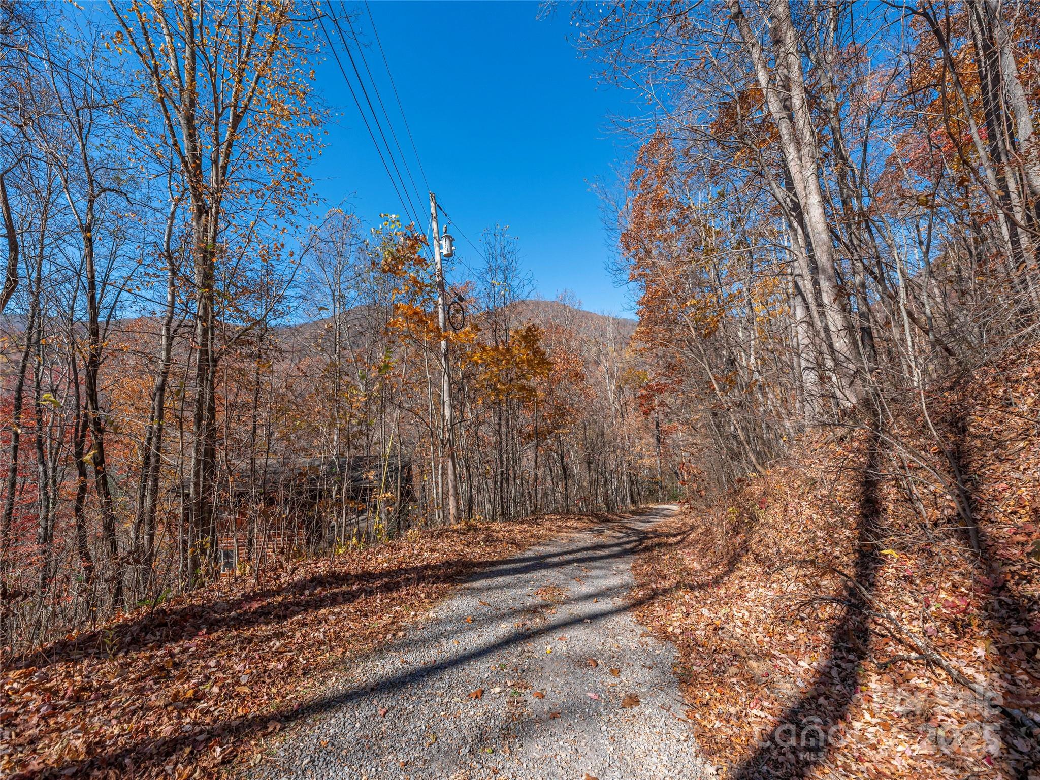 112-113 Grouse Road Clyde, NC 28721 - Photo 5 of 29 a view of a yard with wooden fence