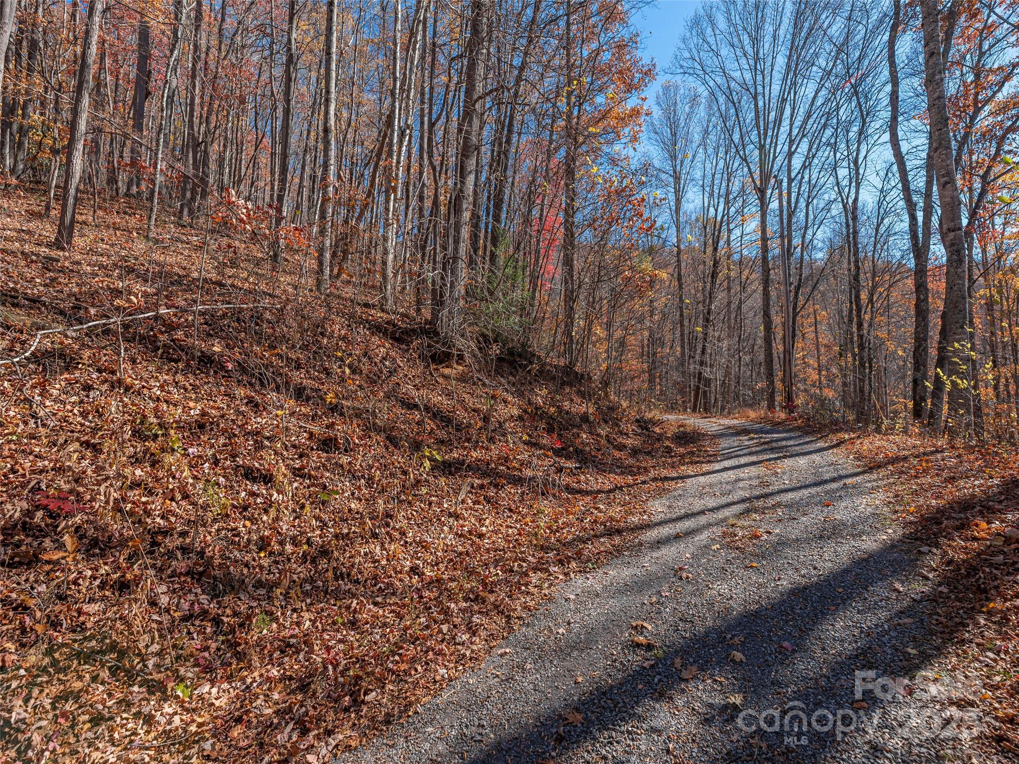 112-113 Grouse Road Clyde, NC 28721 - Photo 8 of 29 a view of a backyard with large trees