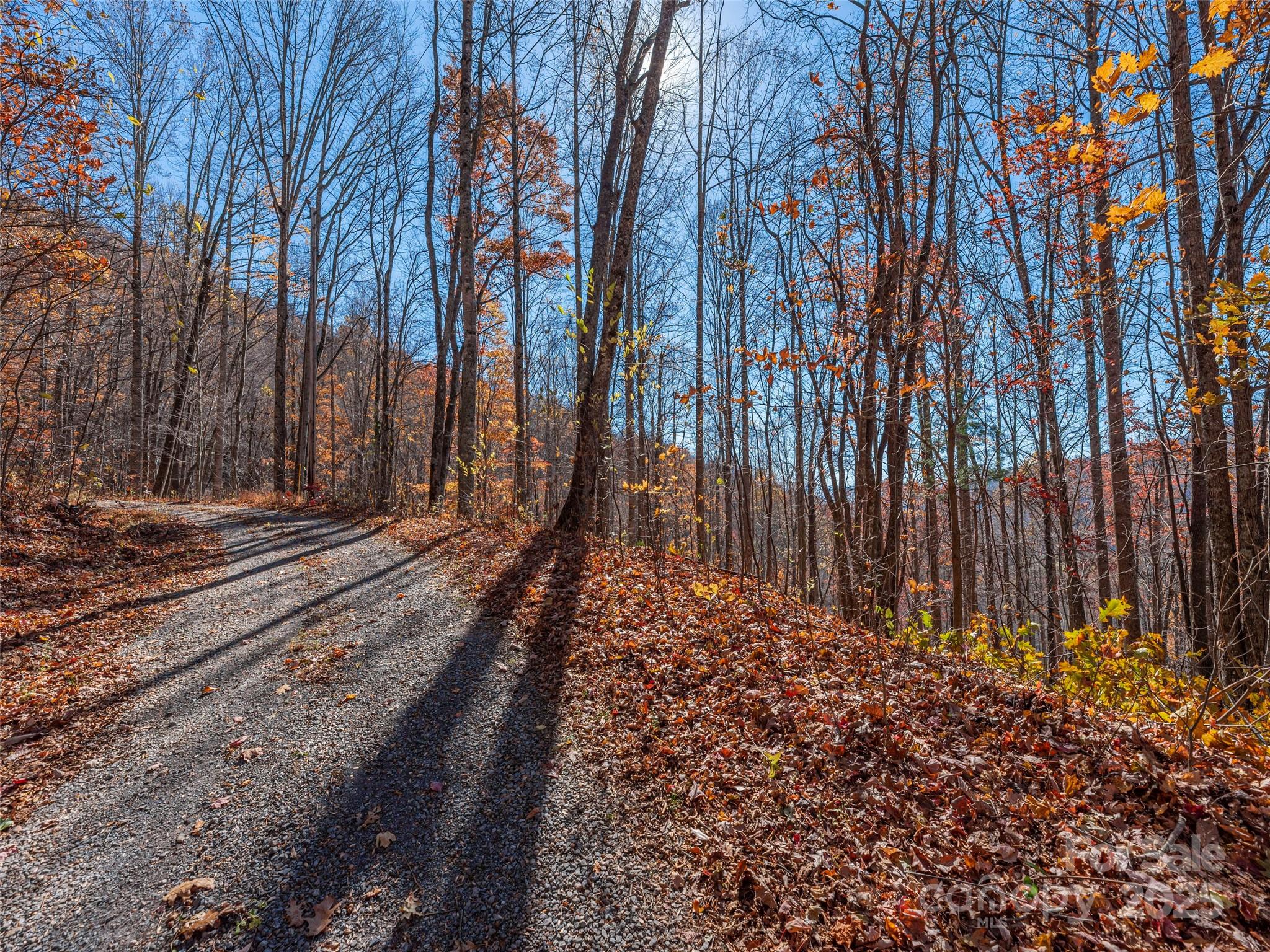 112-113 Grouse Road Clyde, NC 28721 - Photo 9 of 29 a view of a backyard with trees