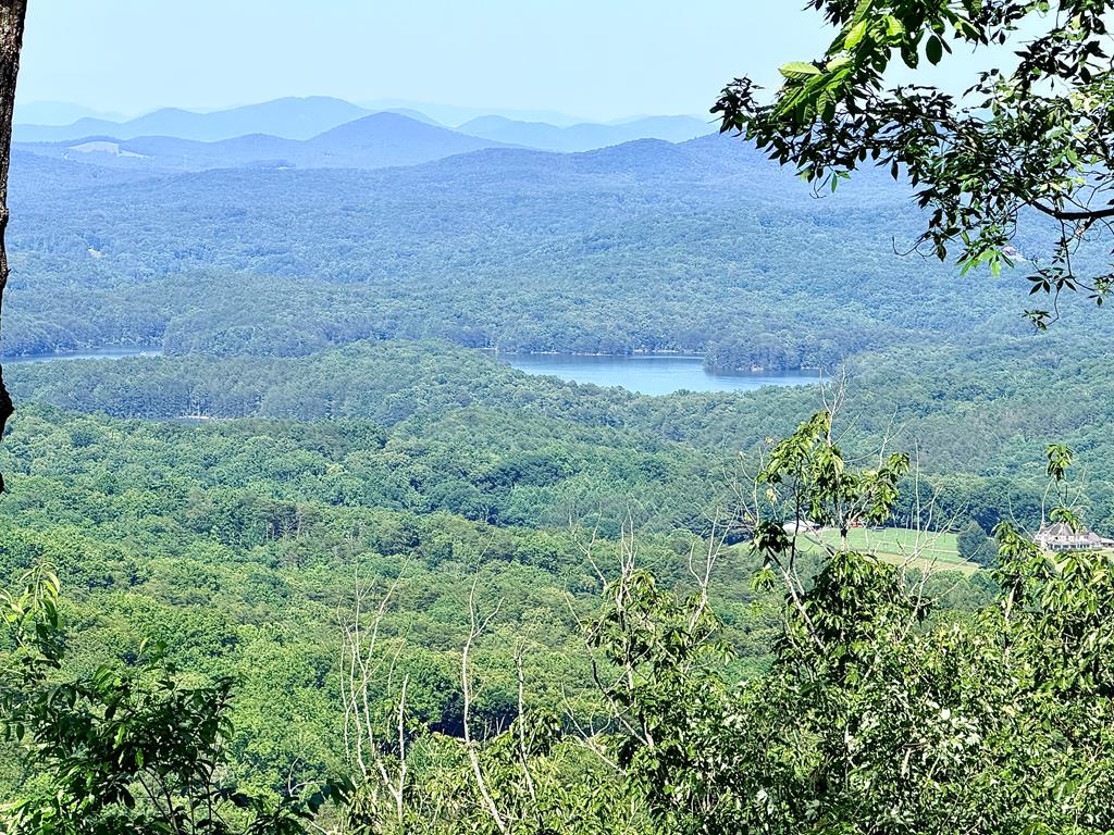 Lot2 Deer Crest Overlook Blue Ridge, GA 30513 - Photo 5 of 12 zoomed in true view from ground