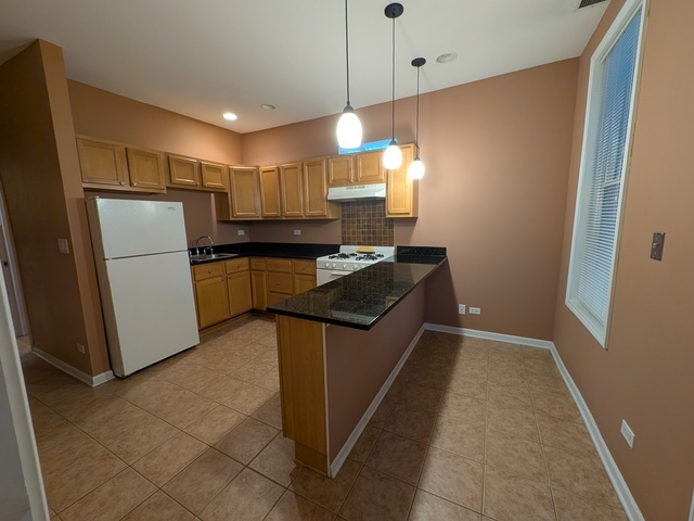 3610 South Seeley Avenue Chicago, IL 60609 - Photo 16 of 26 a kitchen with stainless steel appliances granite countertop a refrigerator a sink and a stove