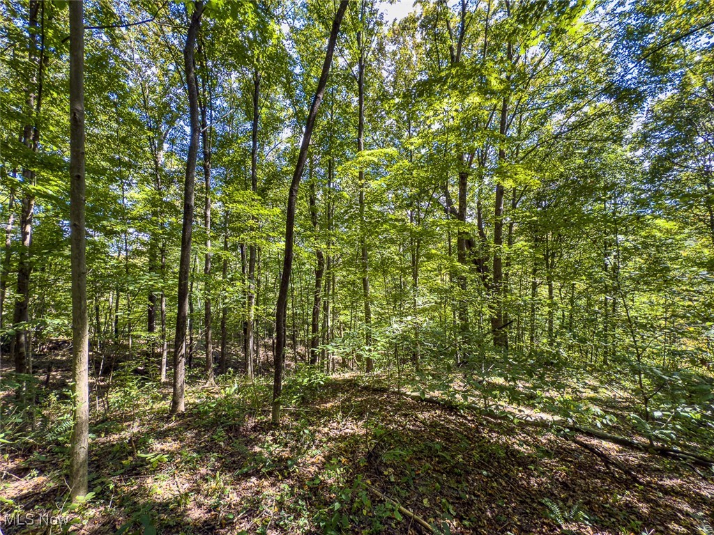 0 Rado Ridge Road Caldwell, OH 43724 - Photo 39 of 39 Gallery Image 39