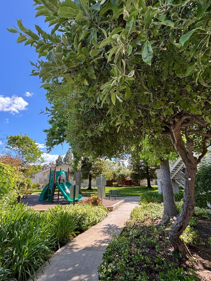20179 NW Square Cupertino, CA 95014 - Photo 47 of 50 a view of a park with large trees