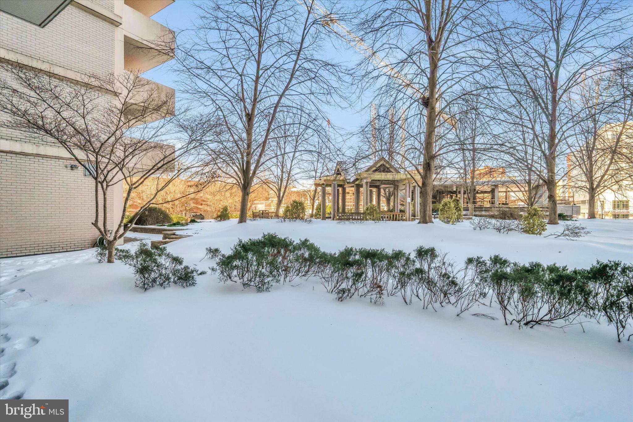 4141 North Henderson Road, Unit 104 Arlington, VA 22203 - Photo 23 of 23 Outdoor Garden/Pool Area