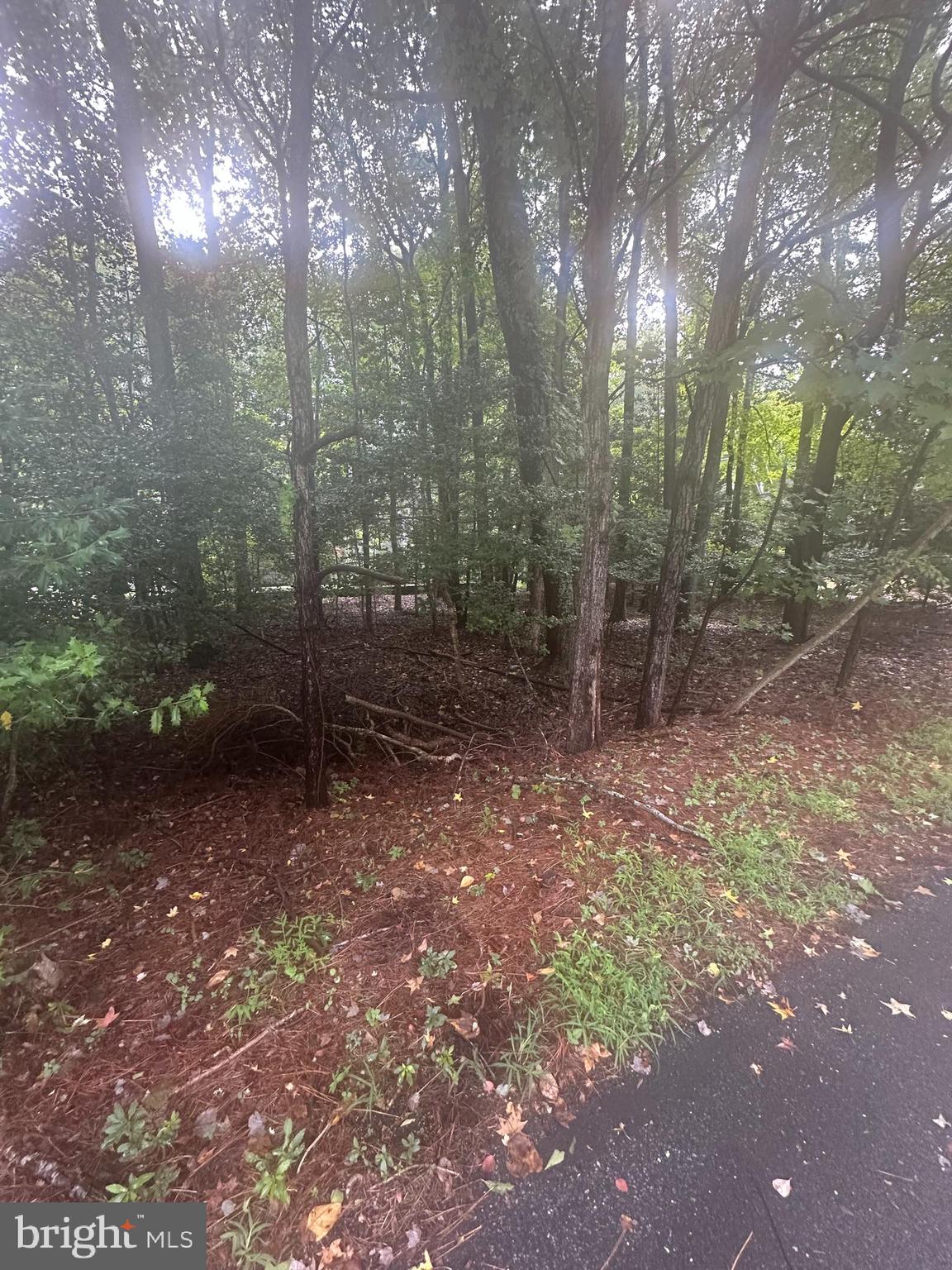 226 Charleston Road Ocean Pines, MD 21811 - Photo 5 of 8