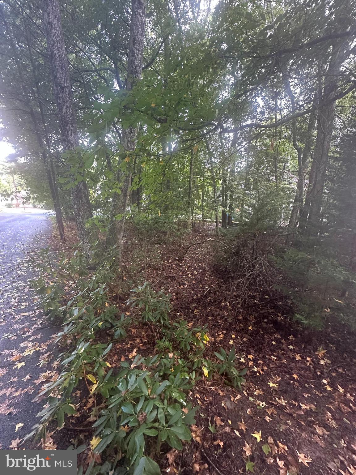 226 Charleston Road Ocean Pines, MD 21811 - Photo 6 of 8