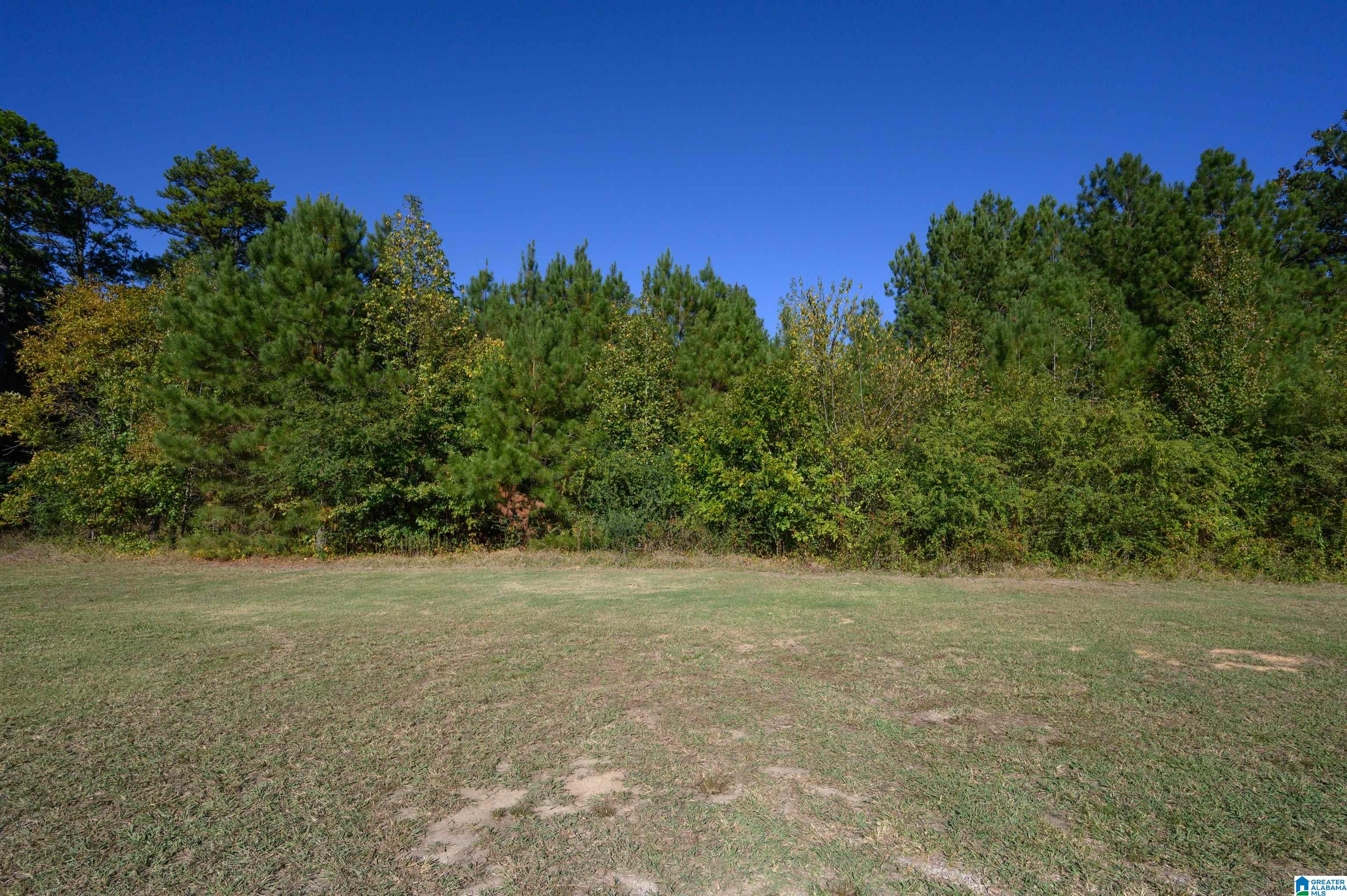 368 Rose Road Rainbow City, AL 35906 - Photo 9 of 51