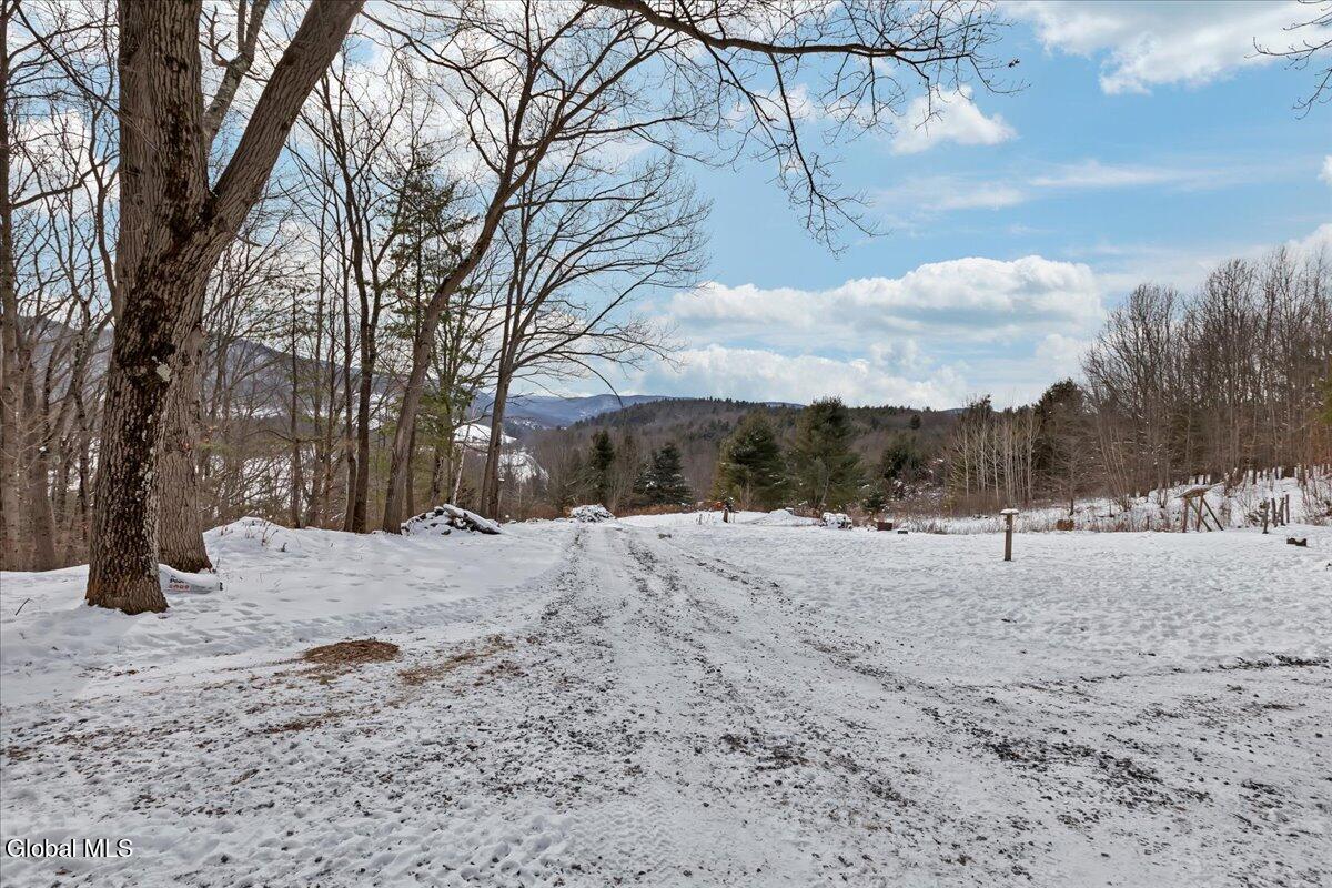 277 Breese Hollow Road Hoosick, NY 12089 - Photo 32 of 40 26-IMG_9023