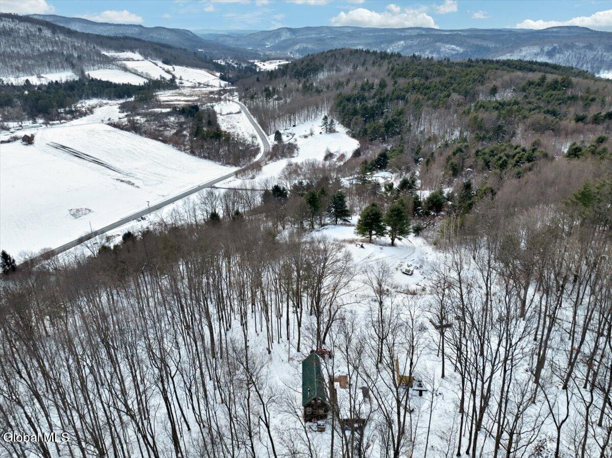 277 Breese Hollow Road Hoosick, NY 12089 - Photo 38 of 40 37-DJI_0688