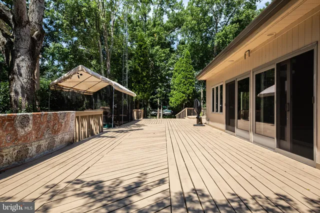 a garden with trees in front of it