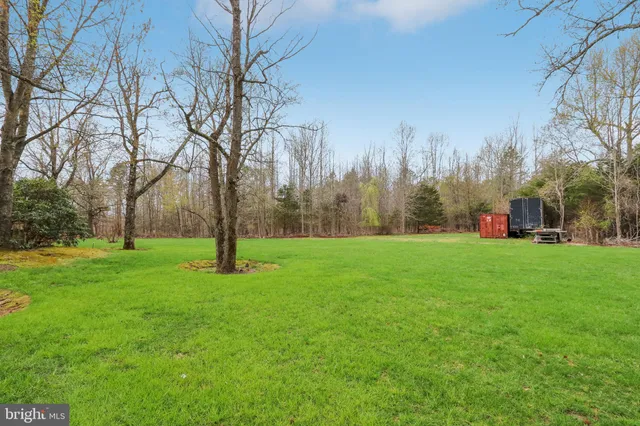 a view of a park with large trees