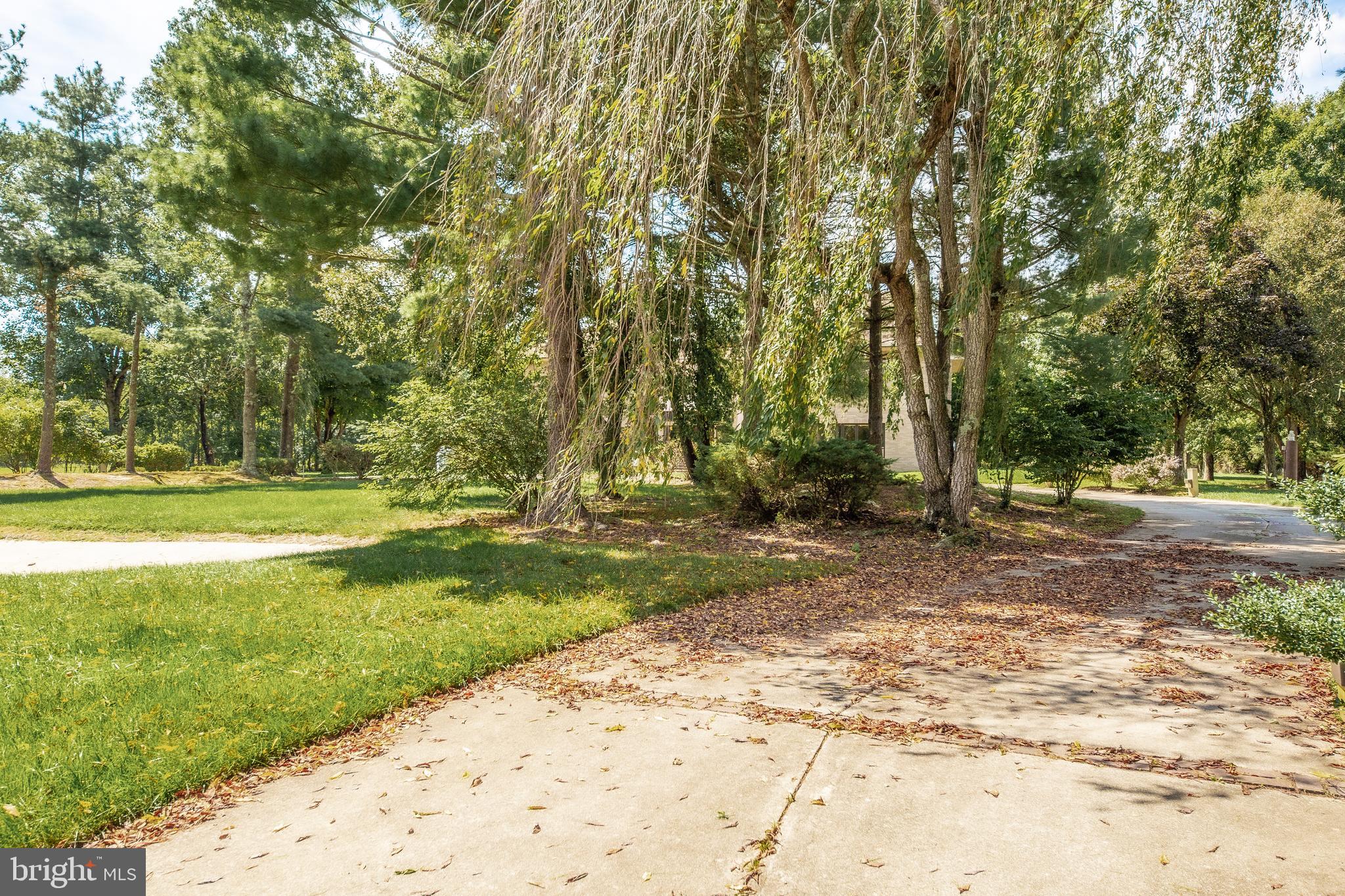 27 Cannon Range Road Milmay, NJ 08340 - Photo 26 of 95 a view of a yard with large trees