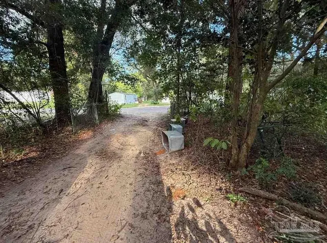 a view of a forest with trees