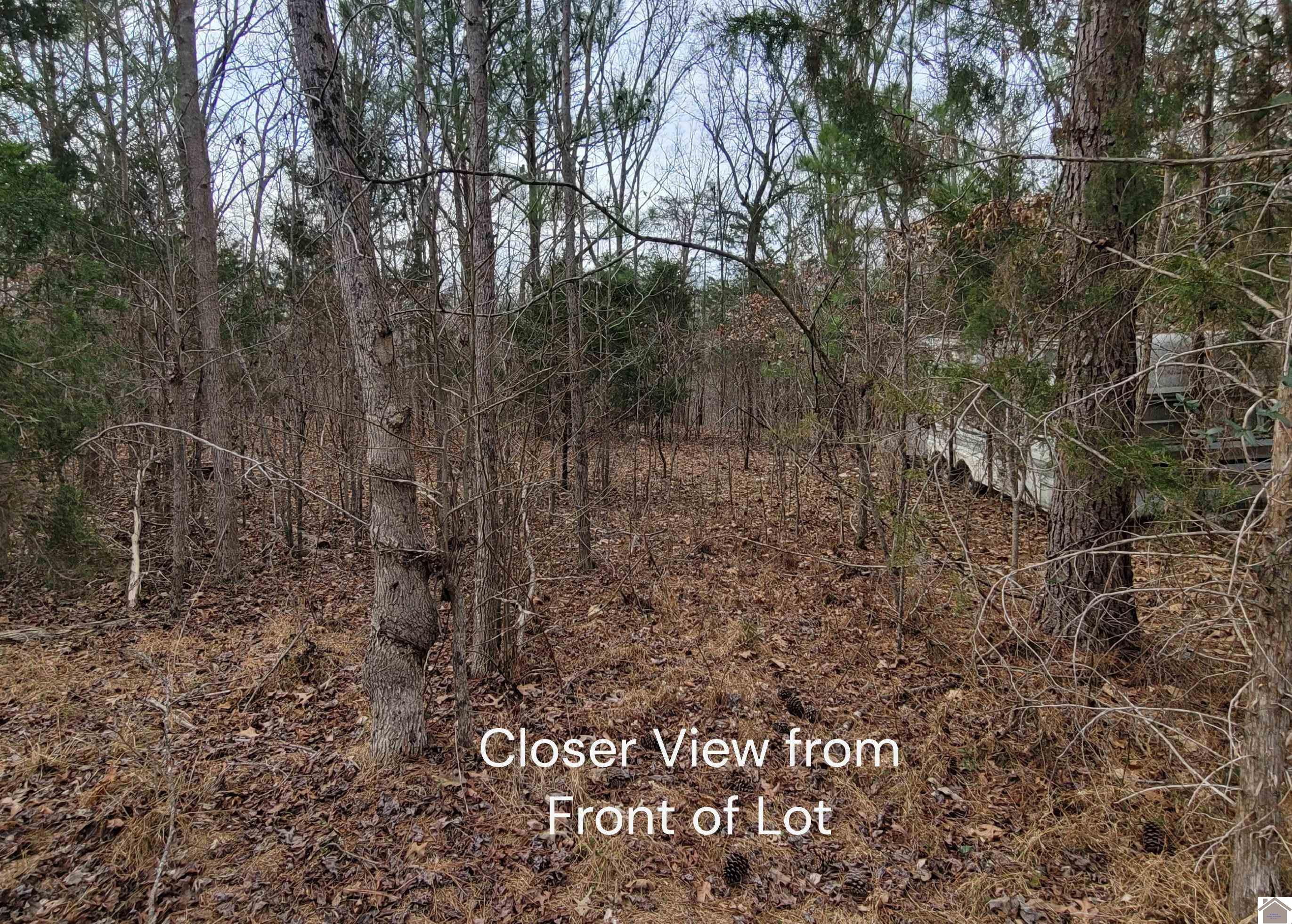 Cross Spann Road, Unit 269 Murray, KY 42071 - Photo 11 of 12 Closer View from Front of Lot