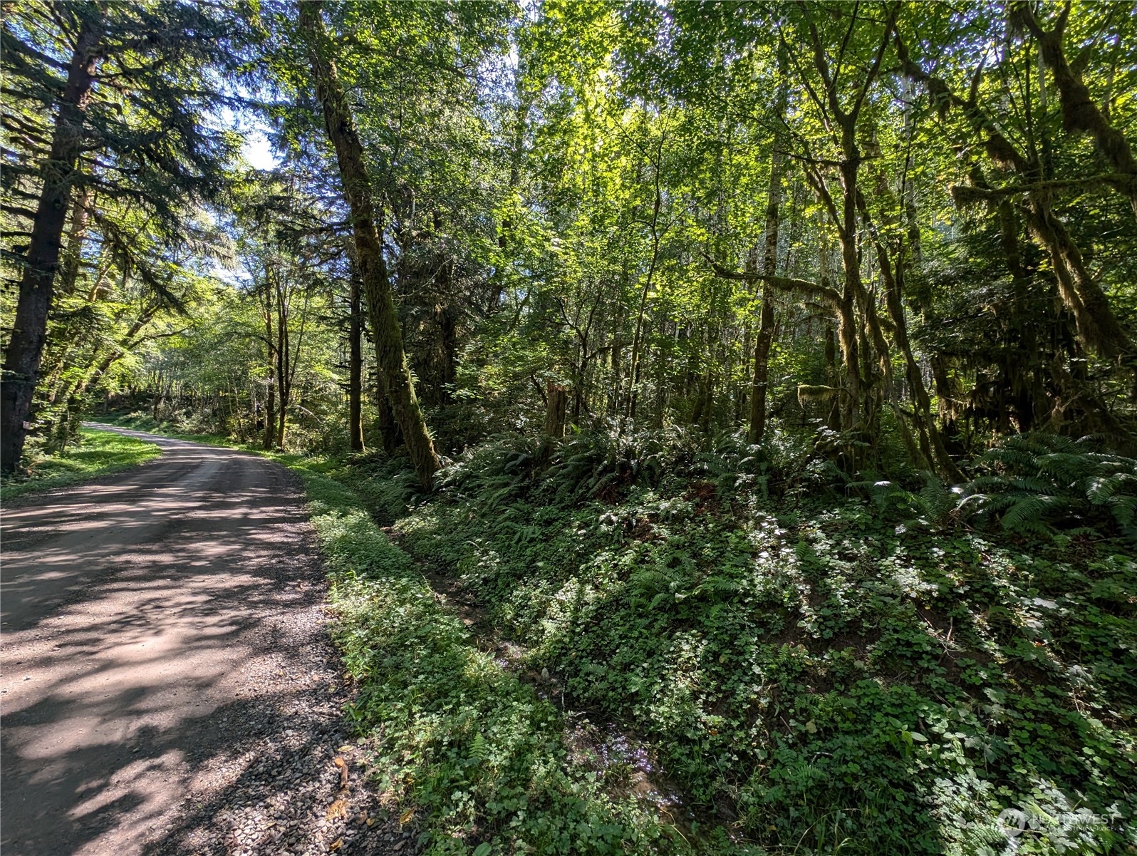 99994 Dowan Creek Road Forks, WA 98331 - Photo 7 of 40