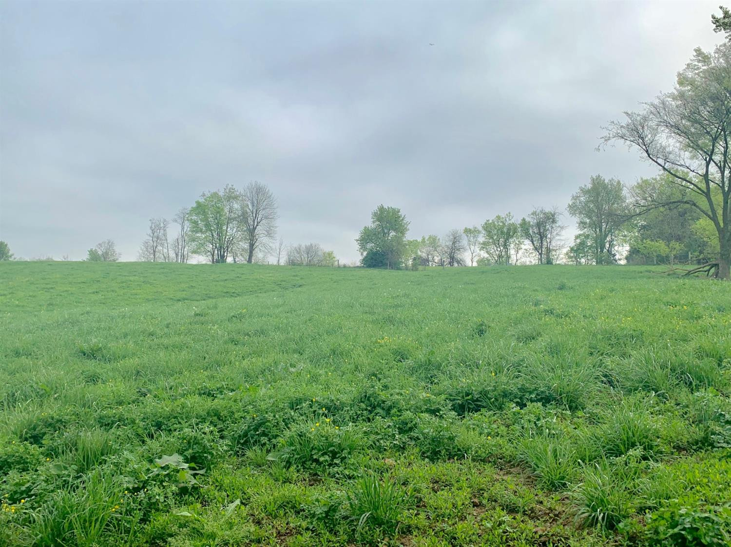 407 Charlie Brown Road Paint Lick, KY 40461 - Photo 2 of 8 Listing Photo