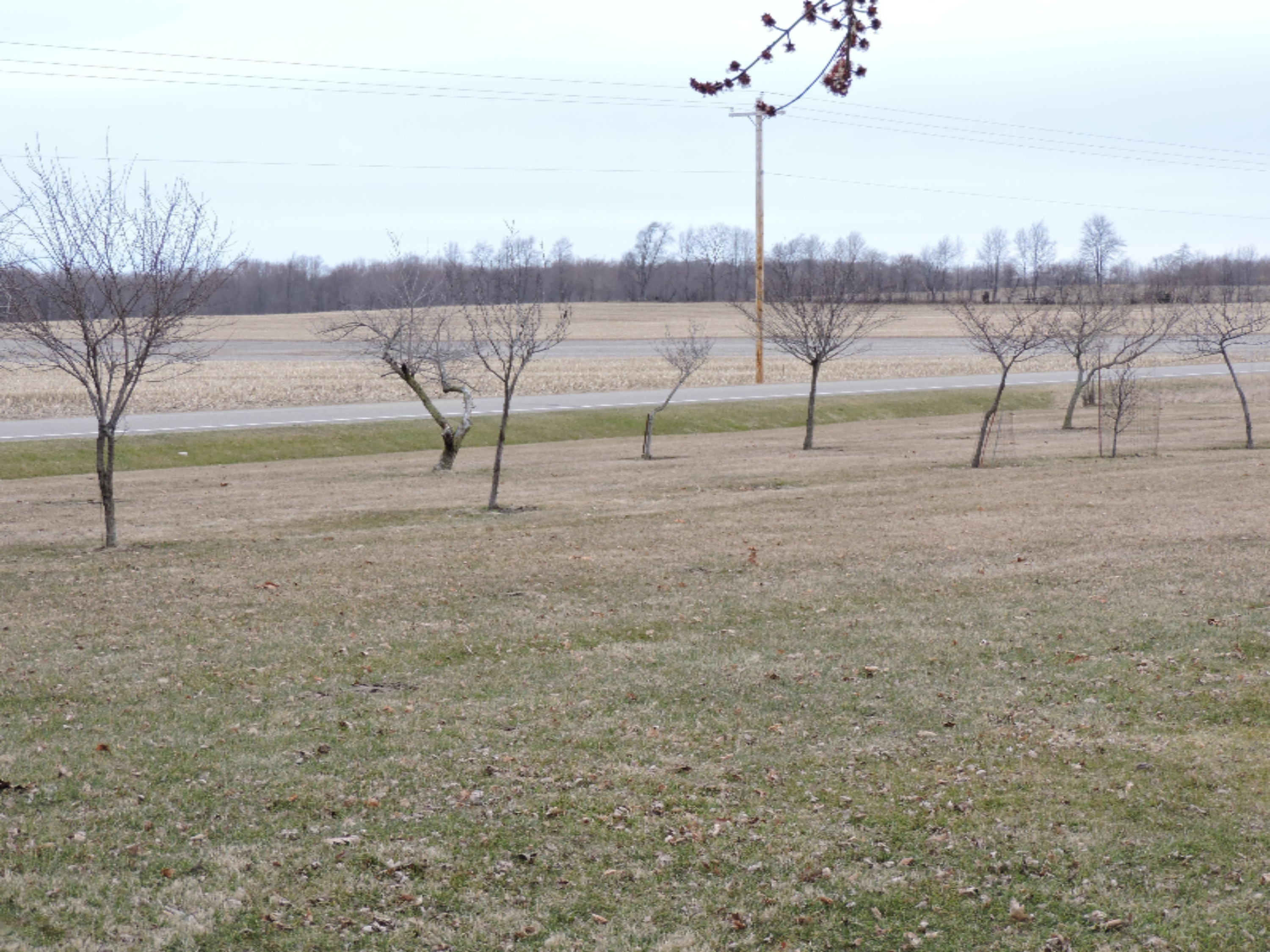 137 South Matteson Lake Road Bronson, MI 49028 - Photo 22 of 27 DSCN8642