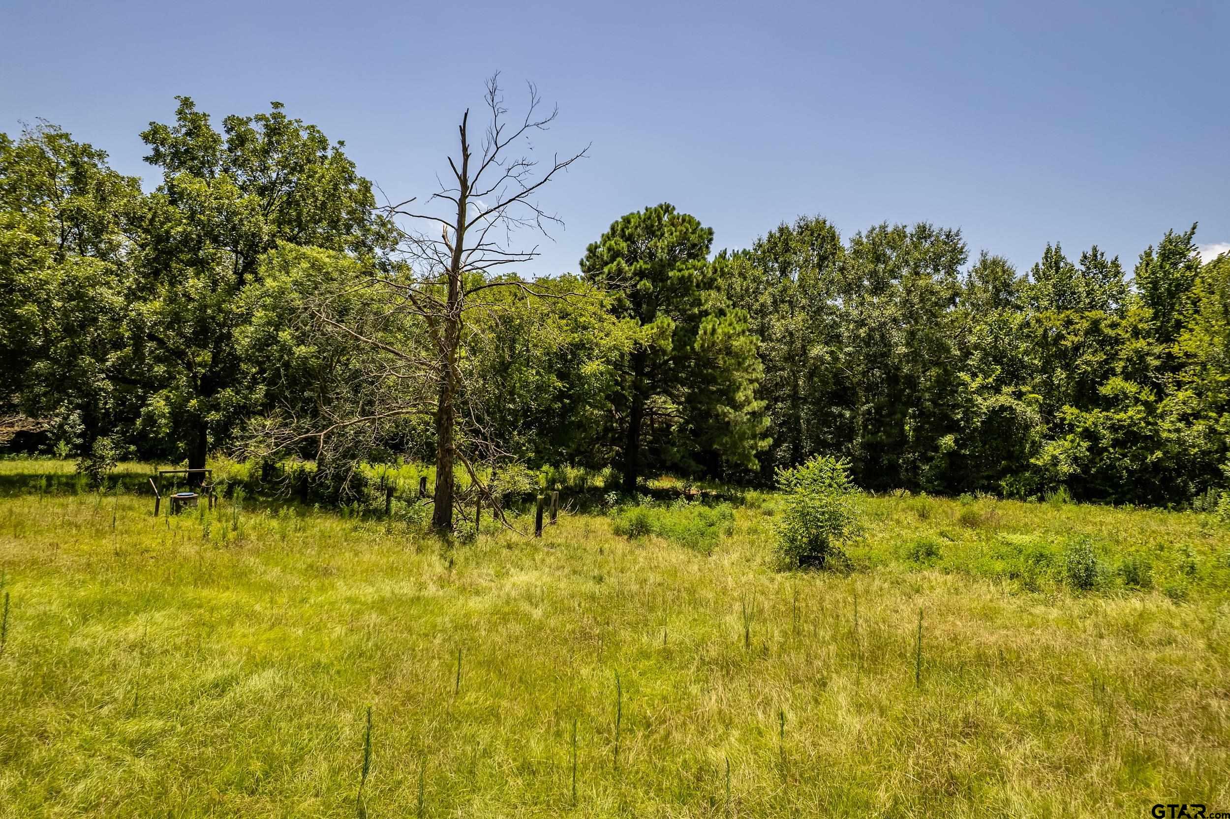 2780 Poppy Road Gilmer, TX 75644 - Photo 29 of 32