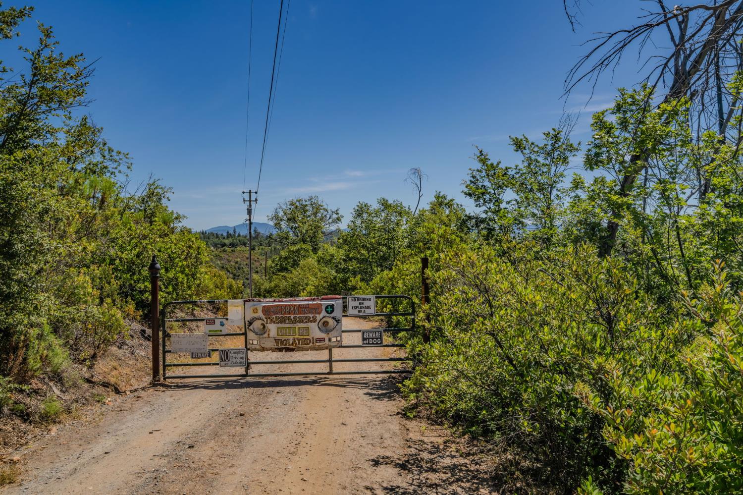 7256 Nikki Mountain Ranch Mountain Ranch, CA 95246 - Photo 5 of 27
