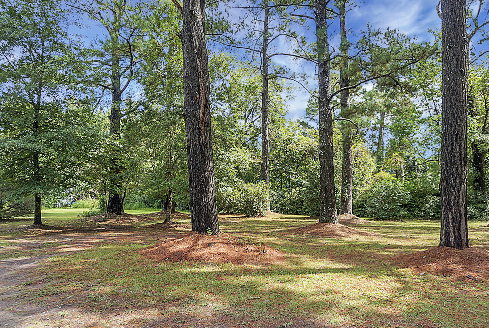 1468 Cypress Campground Road Ridgeville, SC 29472 - Photo 8 of 50 DSC00211