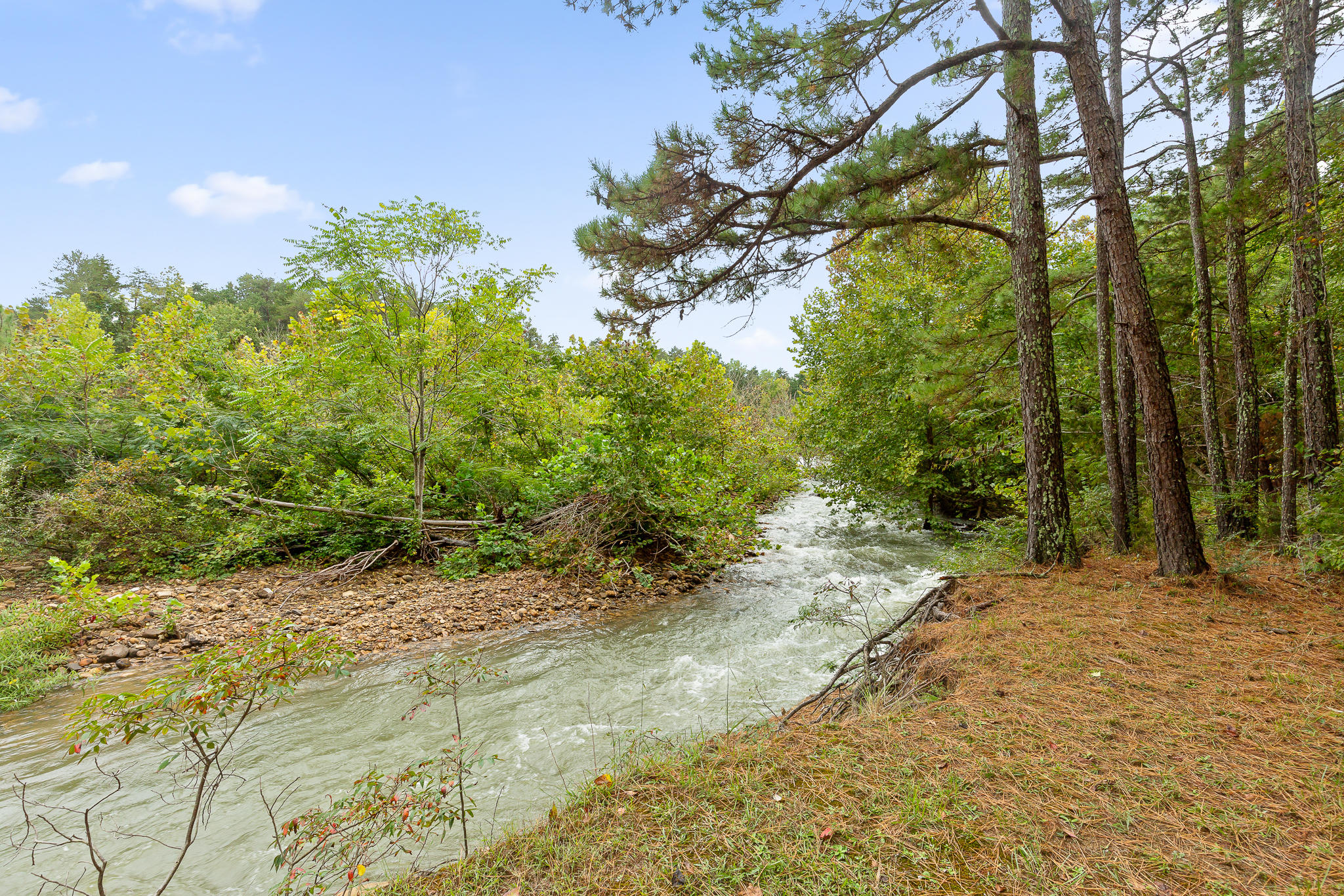 306 Newman Road Soddy Daisy, TN 37379 - Photo 34 of 53 Newman-38