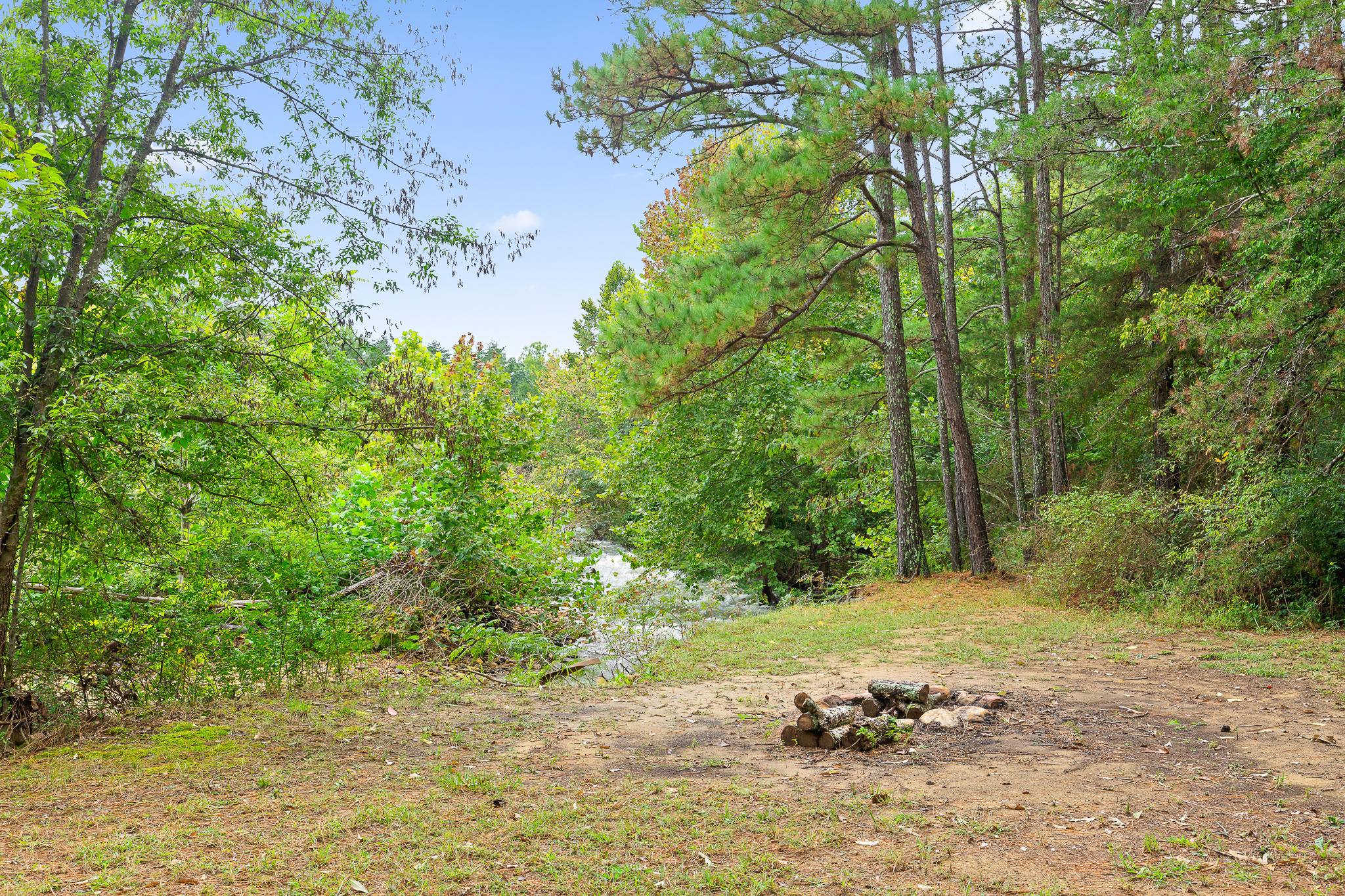 306 Newman Road Soddy Daisy, TN 37379 - Photo 8 of 53 Newman-37