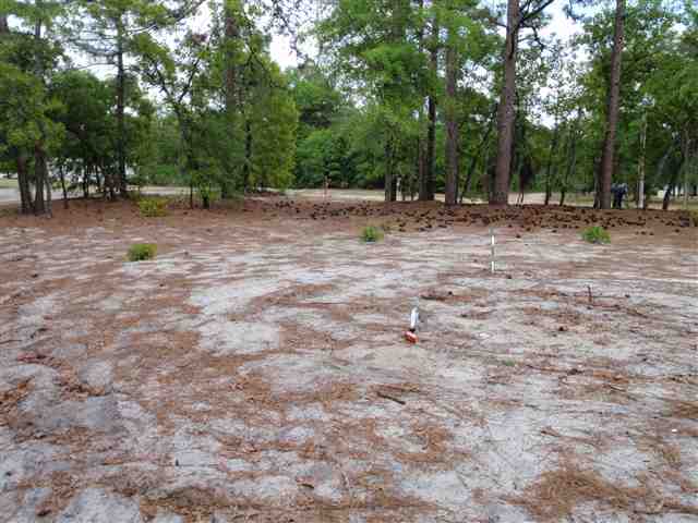 409 North River Pines Road Mullins, SC 29574 - Photo 8 of 12 Gallery Image 8