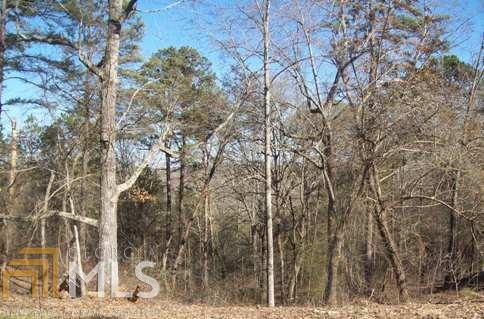 a view of a forest