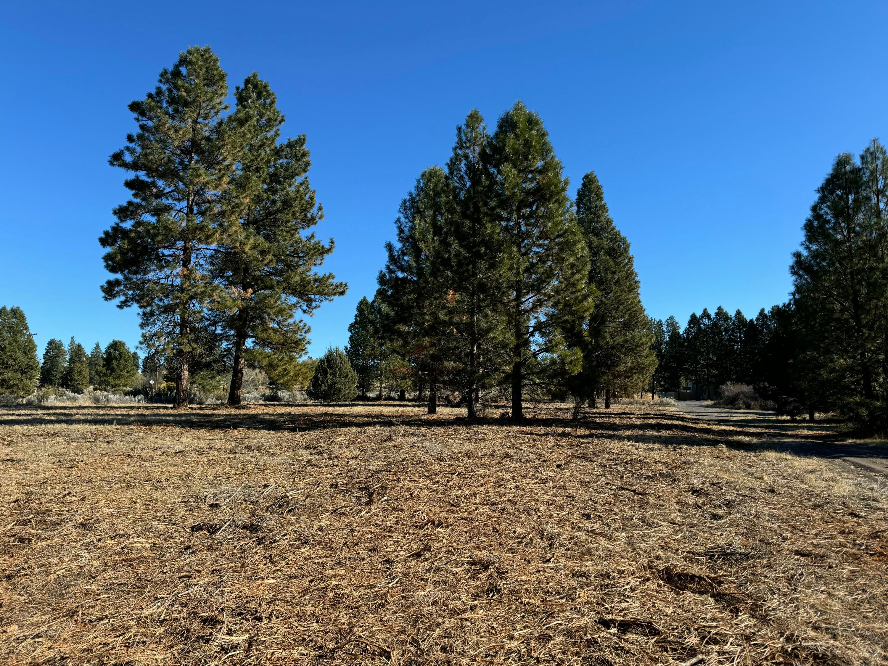 35840 Modoc Point Road, Unit 16 Chiloquin, OR 97624 - Photo 6 of 20 just mowed