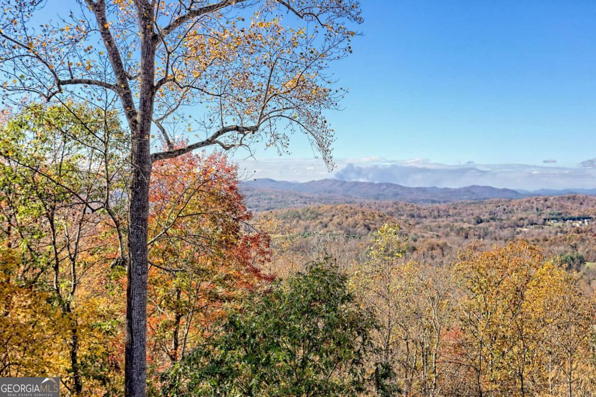 1279 Harris Ridge Road, Unit 24 Young Harris, GA 30582 - Photo 12 of 81 a view of a yard with a tree