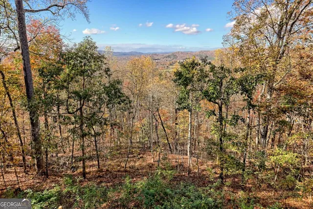 $575,000 | 1279 Harris Ridge Road, Unit 24, Young Harris, GA 30582