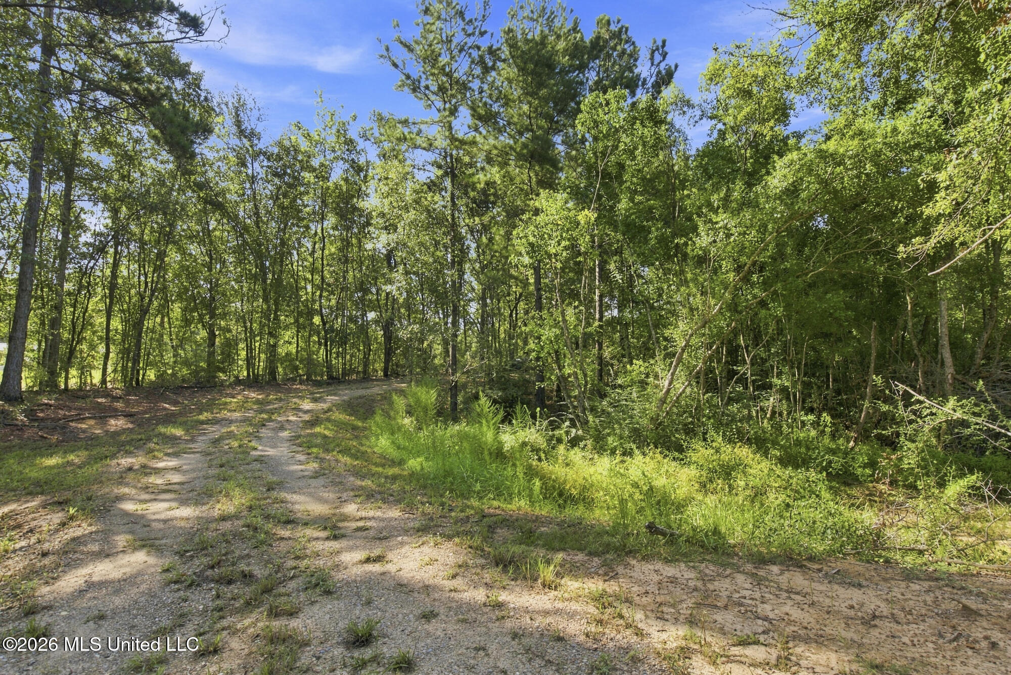 132 Cody Goldman Road Lucedale, MS 39452 - Photo 14 of 48 IMG_1573