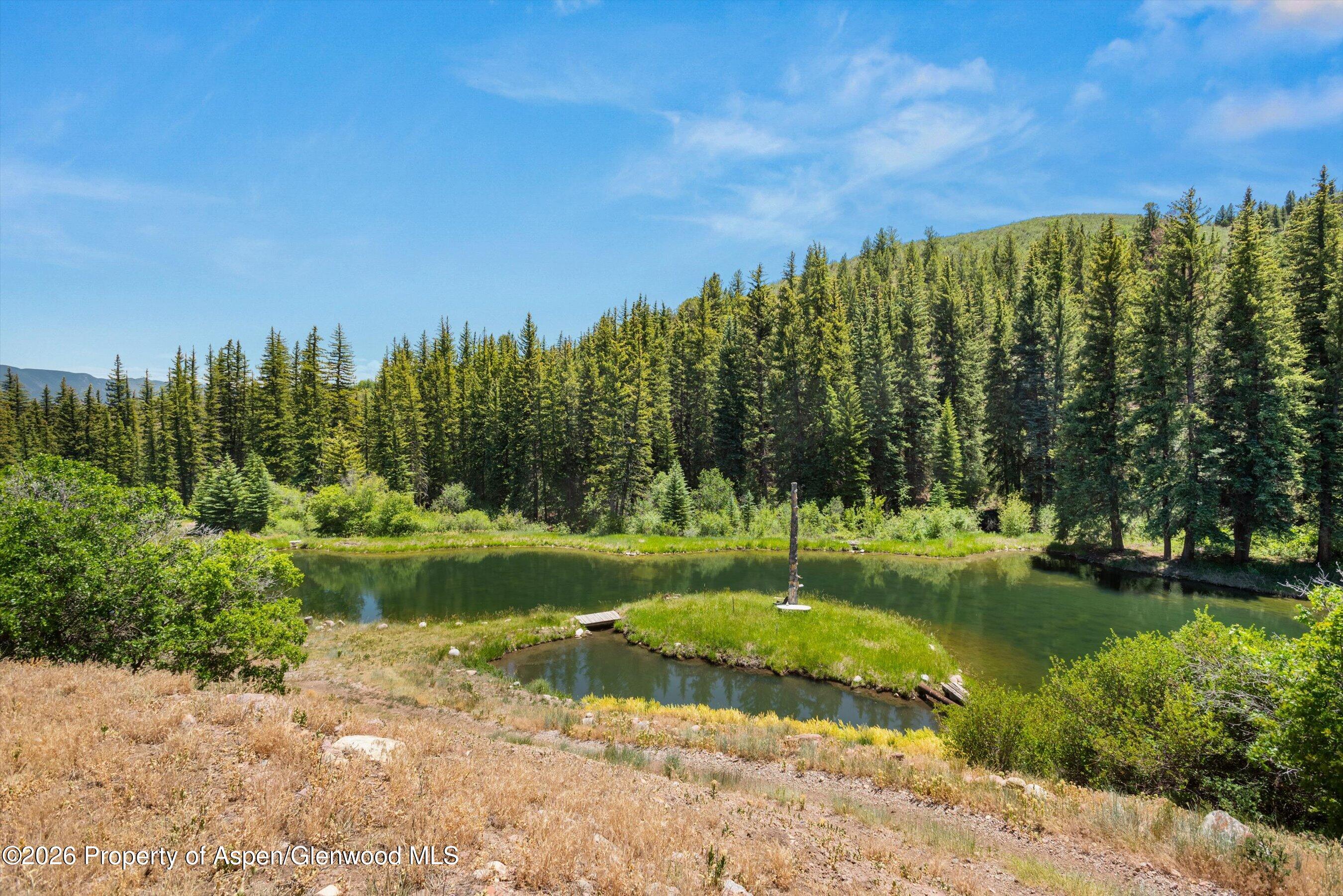 1645 Capitol Creek Road Snowmass, CO 81654 - Photo 55 of 80 55-1645CapitolCreek_06192026_054