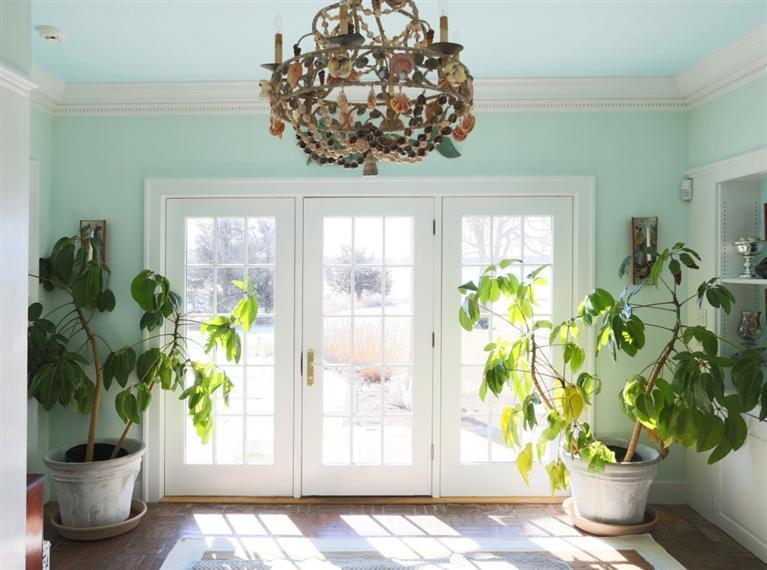 265 Seapuit Road Osterville, MA 02655 - Photo 10 of 30 a view of a potted plant sitting in front of a window