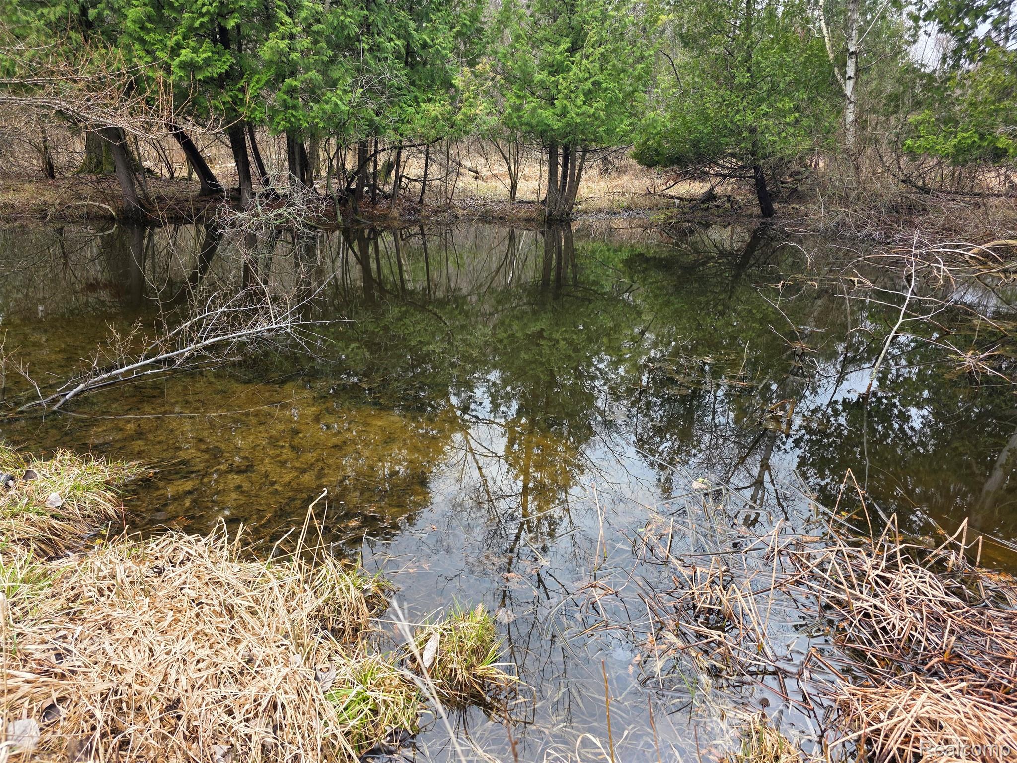 0 Martus Road North Branch, MI 48461 - Photo 7 of 19 Small Ponds