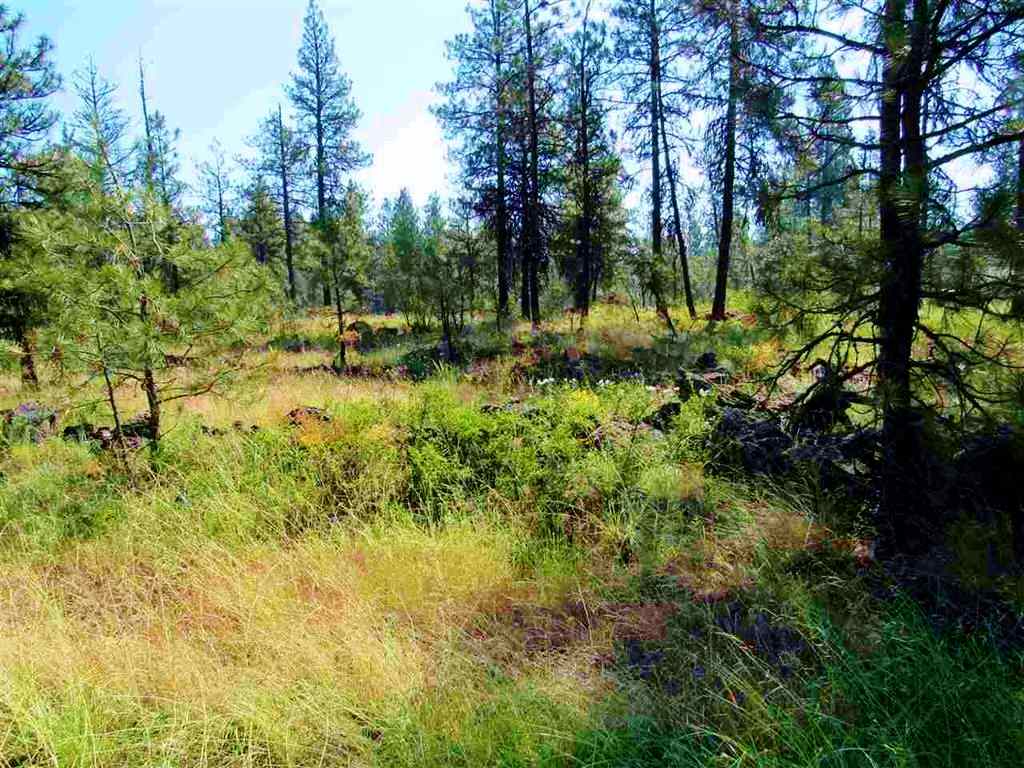 22009 South Ritchey Road Cheney, WA 99004 - Photo 2 of 4