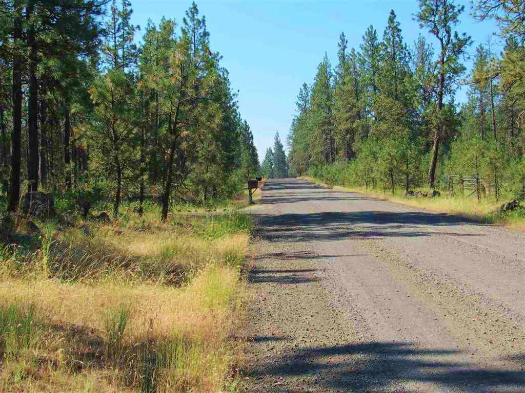 22009 South Ritchey Road Cheney, WA 99004 - Photo 3 of 4