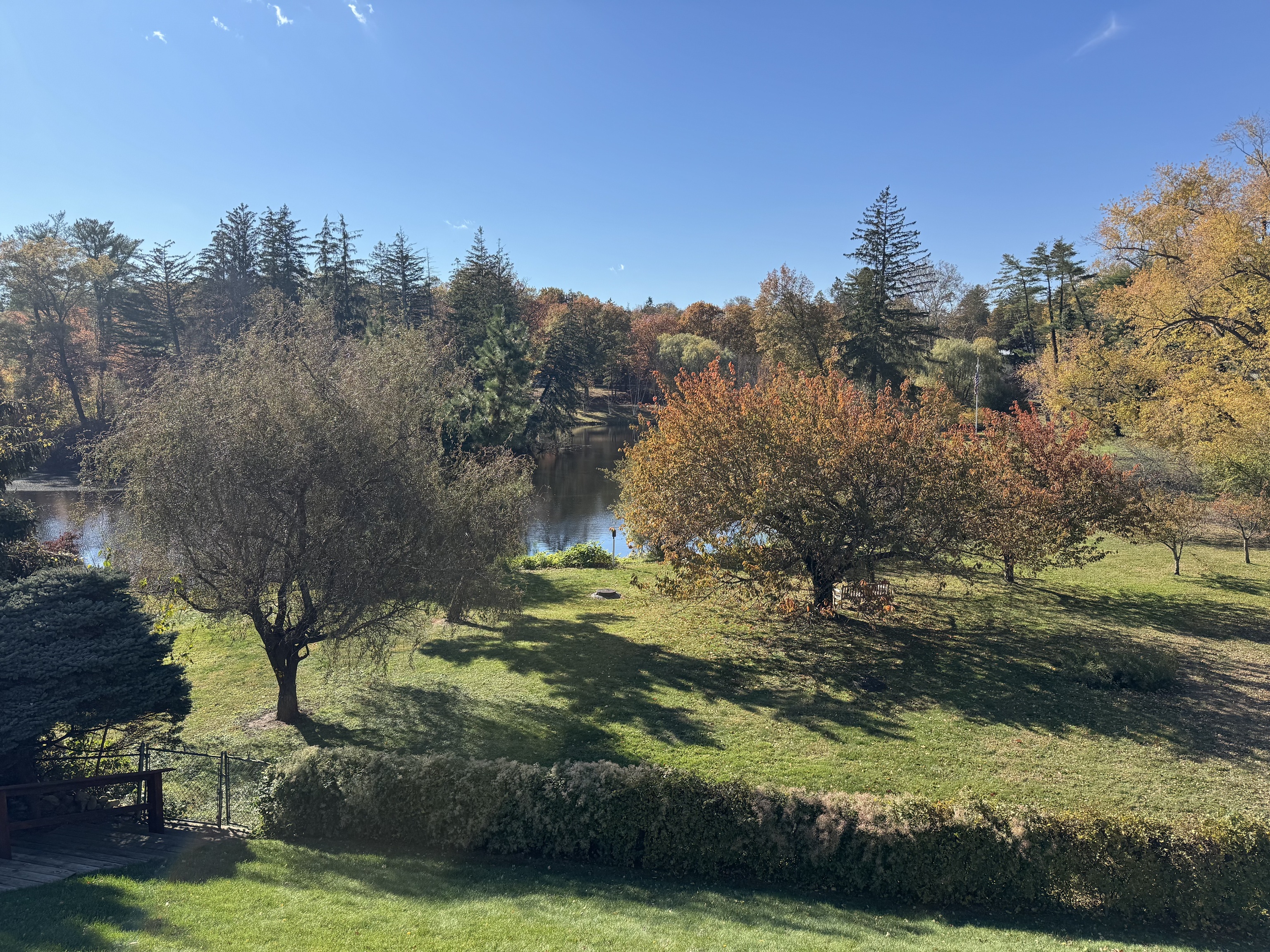 View Of Mead Park from the Living Room