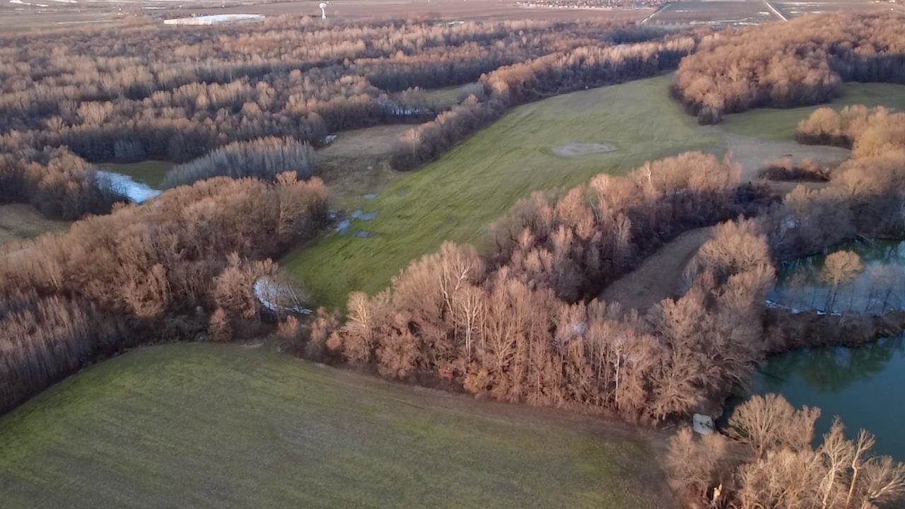 4591 Delta View Road Walls, MS 38641 - Photo 7 of 10