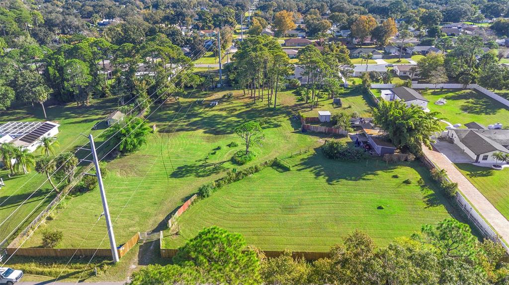 1679 Pinedale Road Edgewater, FL 32132 - Photo 17 of 24 a view of a garden