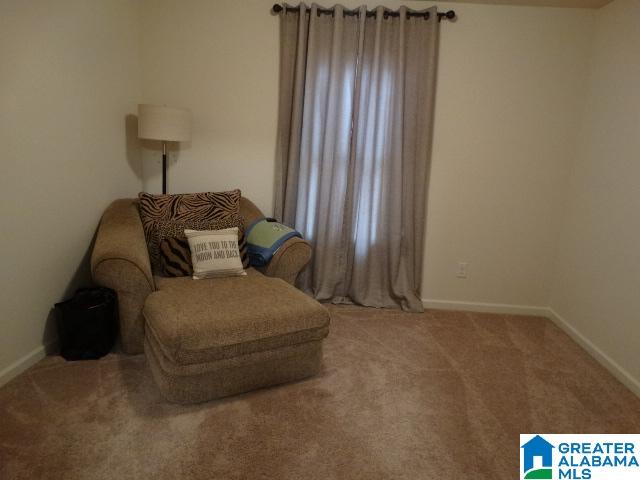 193 Sarah Way Kimberly, AL 35091 - Photo 20 of 29