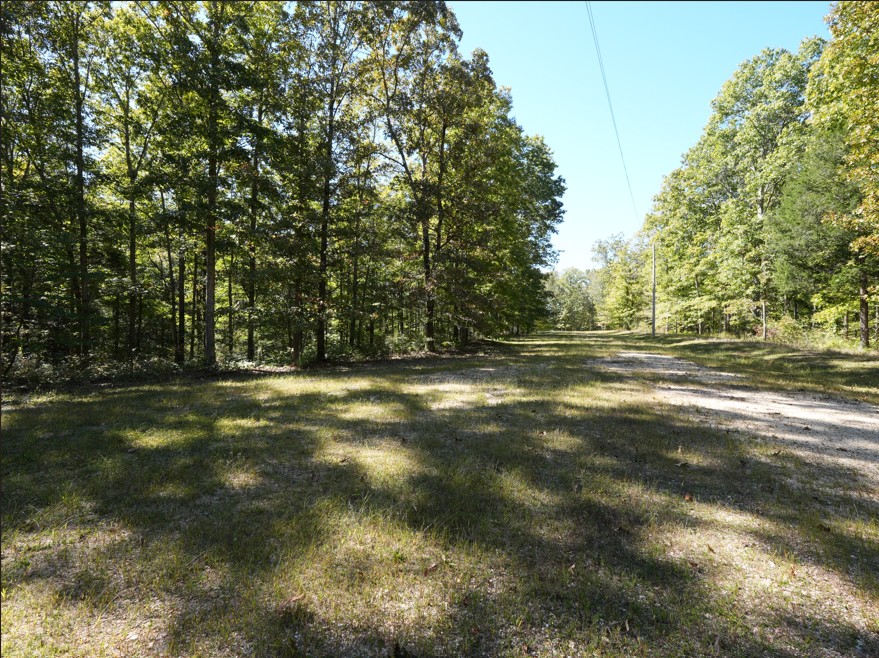 21 Three Rivers Drive Hurricane Mills, TN 37078 - Photo 3 of 6