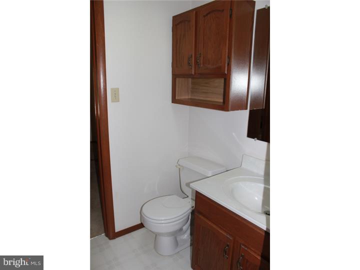 243 Lenape Road Bechtelsville, PA 19505 - Photo 22 of 25 Bathroom