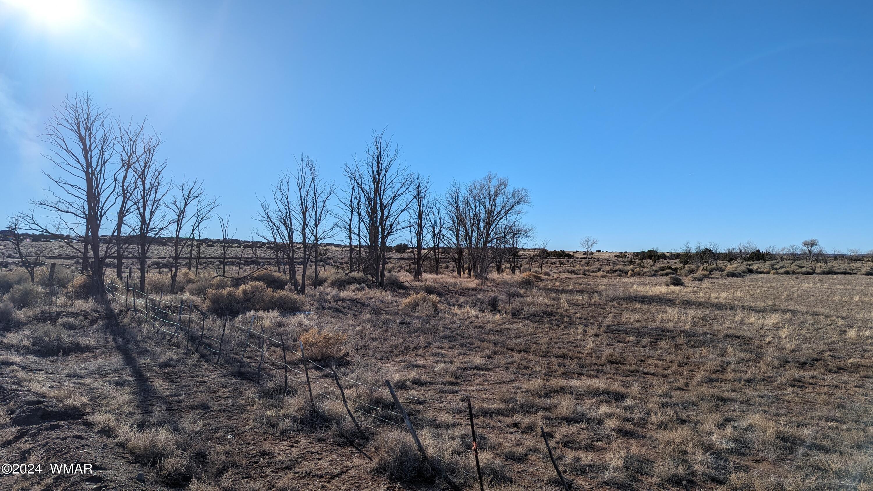 10 Acres In St-johns St. Johns, AZ 85936 - Photo 14 of 15 a view of a yard