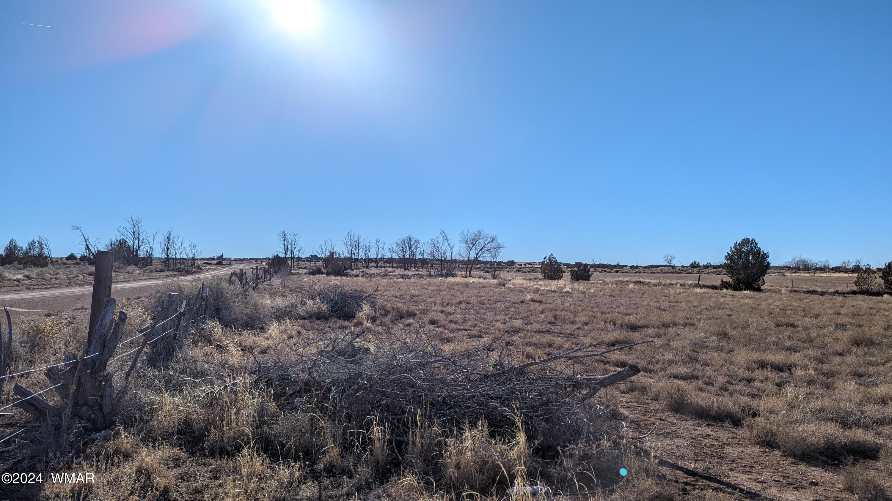10 Acres In St-johns St. Johns, AZ 85936 - Photo 4 of 15 a view of a dry space with lots of trees