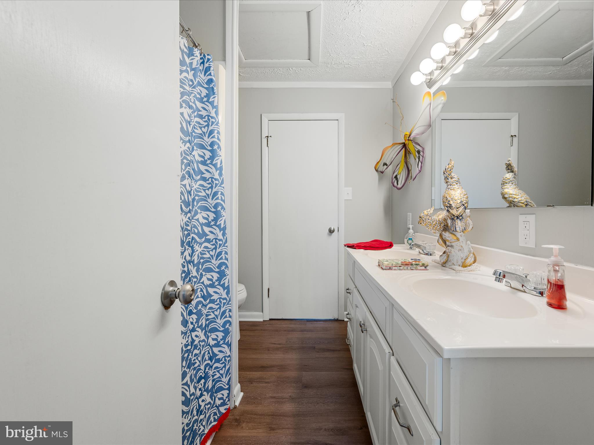 537 Ridge Road South Martinsburg, WV 25403 - Photo 40 of 51 Jack & Jill Bathroom