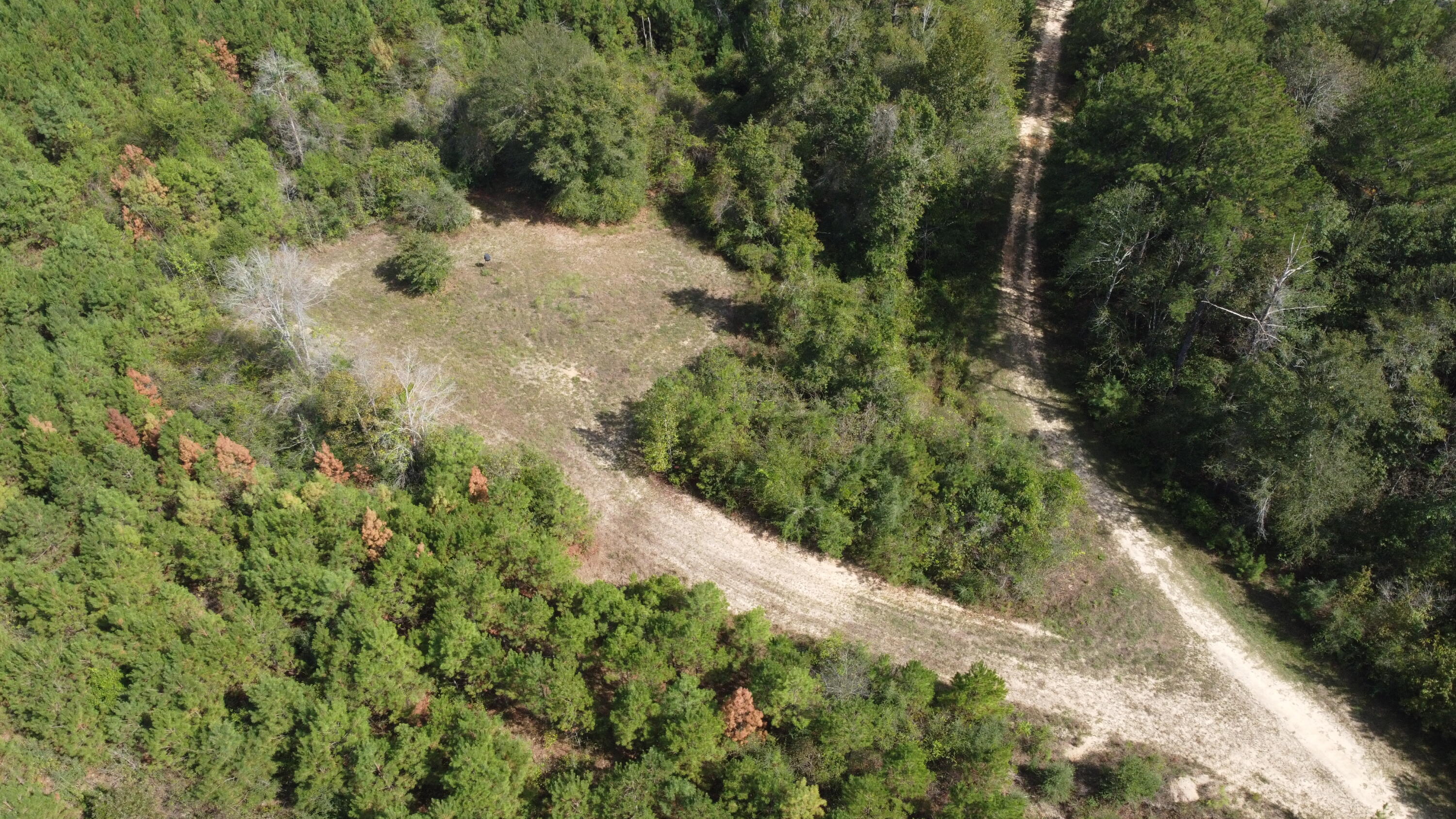 0 Hickory Grove Church Road Richton, MS 39476 - Photo 8 of 9 DJI_0489