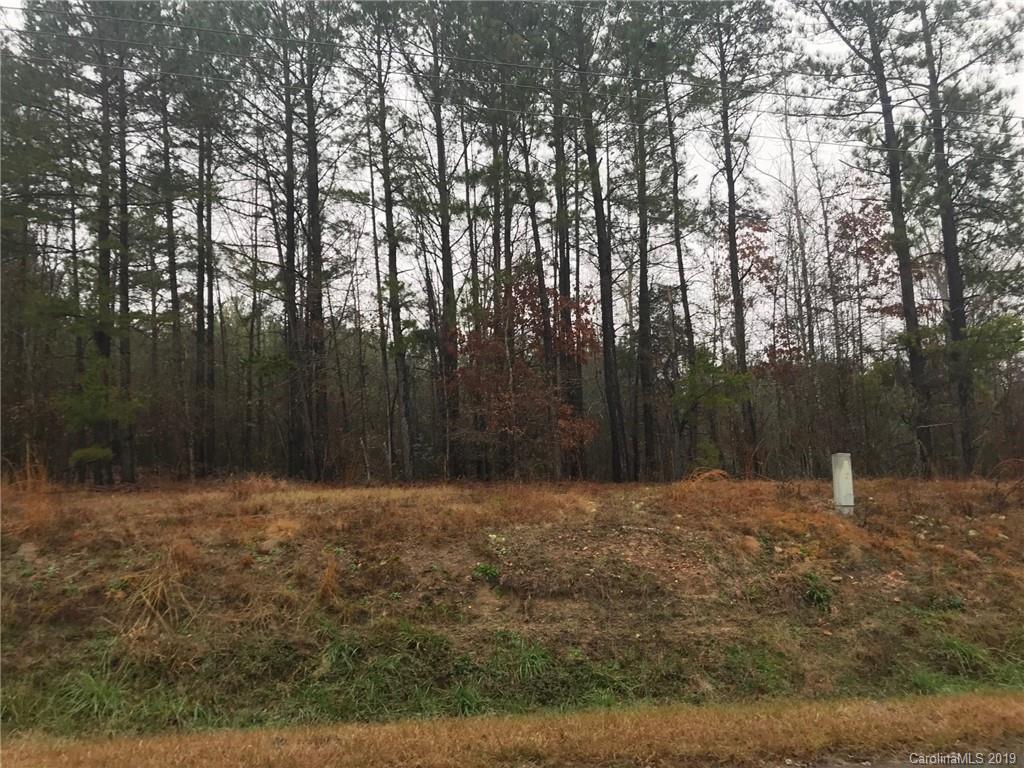 Tbd Branch Road Lilesville, NC 28091 - Photo 1 of 1 Gallery Image 1